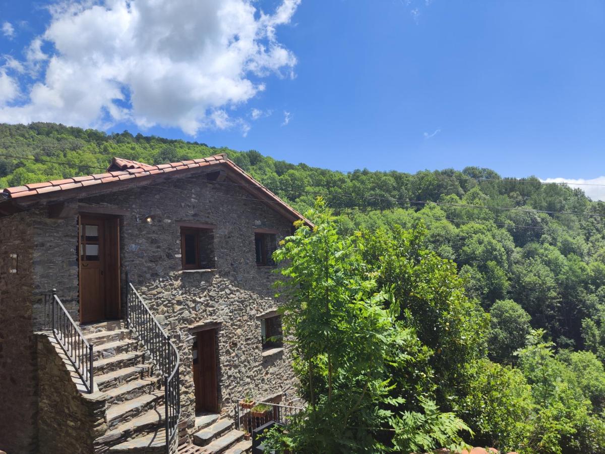 Allotjaments Cal Llarg Molló Exterior foto